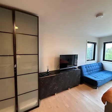Apartman Modern Near Lillestrom *